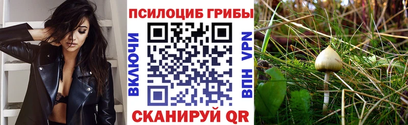 мега ССЫЛКА  где купить   Сорочинск  Галлюциногенные грибы мухоморы 